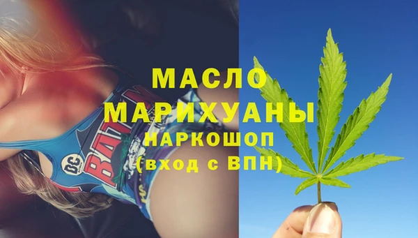 гидра Елизово