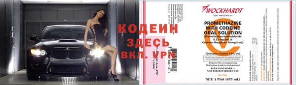 гидра Елизово