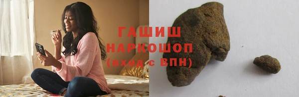 гидра Елизово