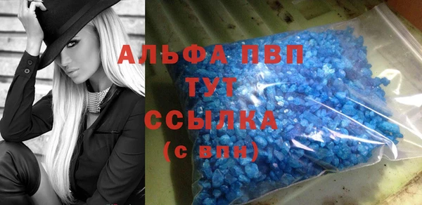шишки Щигры