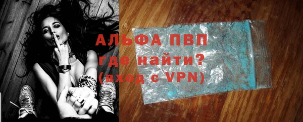 гидра Елизово