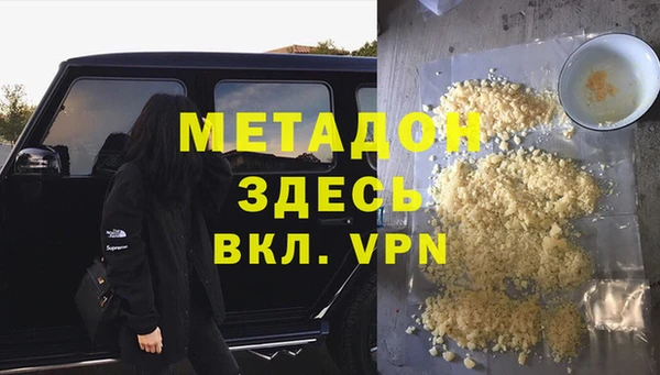 гидра Елизово