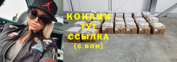 гидра Елизово