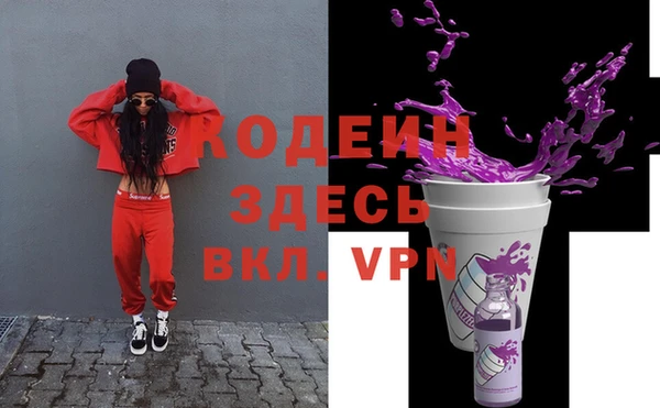 гидра Елизово