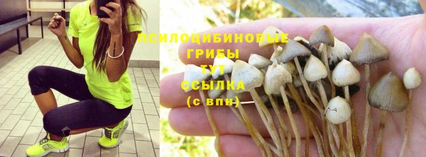 амфетамин Ельня