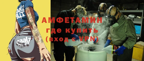 гидра Елизово
