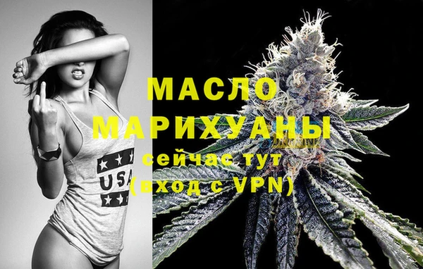 гидра Елизово